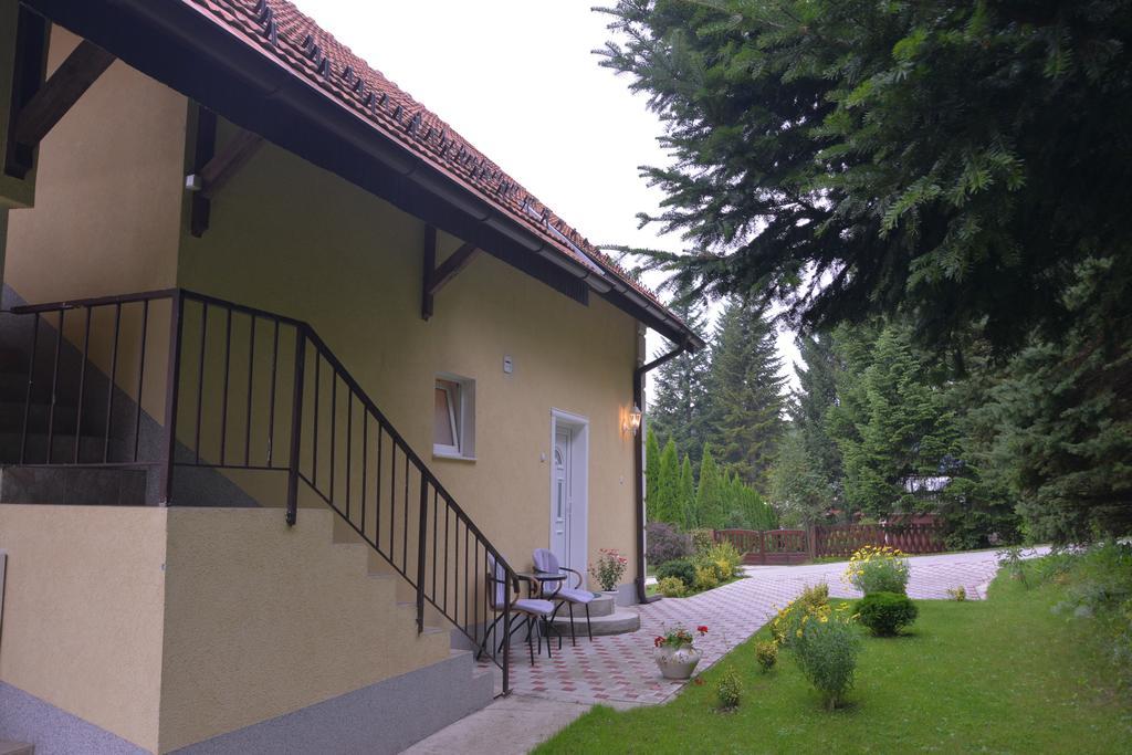 Dobrila Apartments Zlatibor Esterno foto