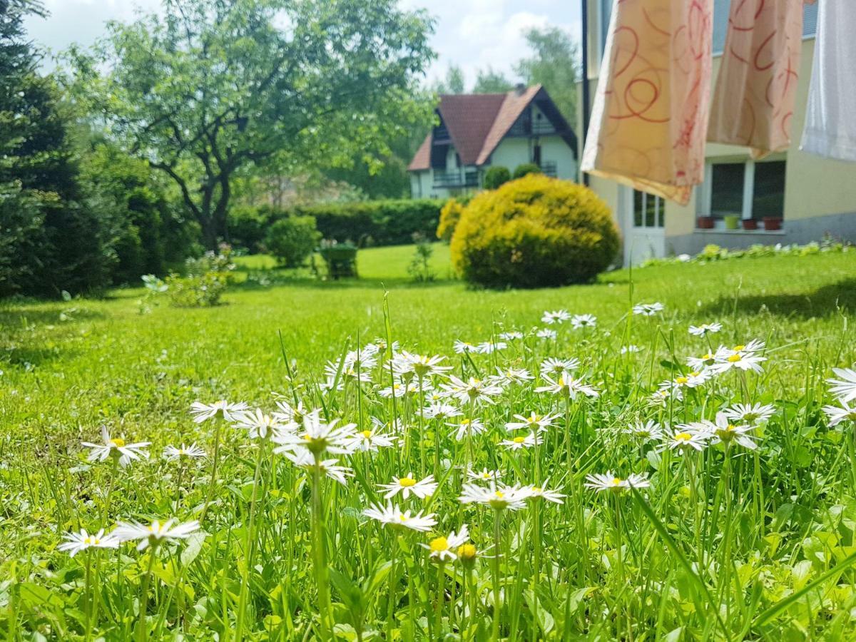 Dobrila Apartments Zlatibor Esterno foto